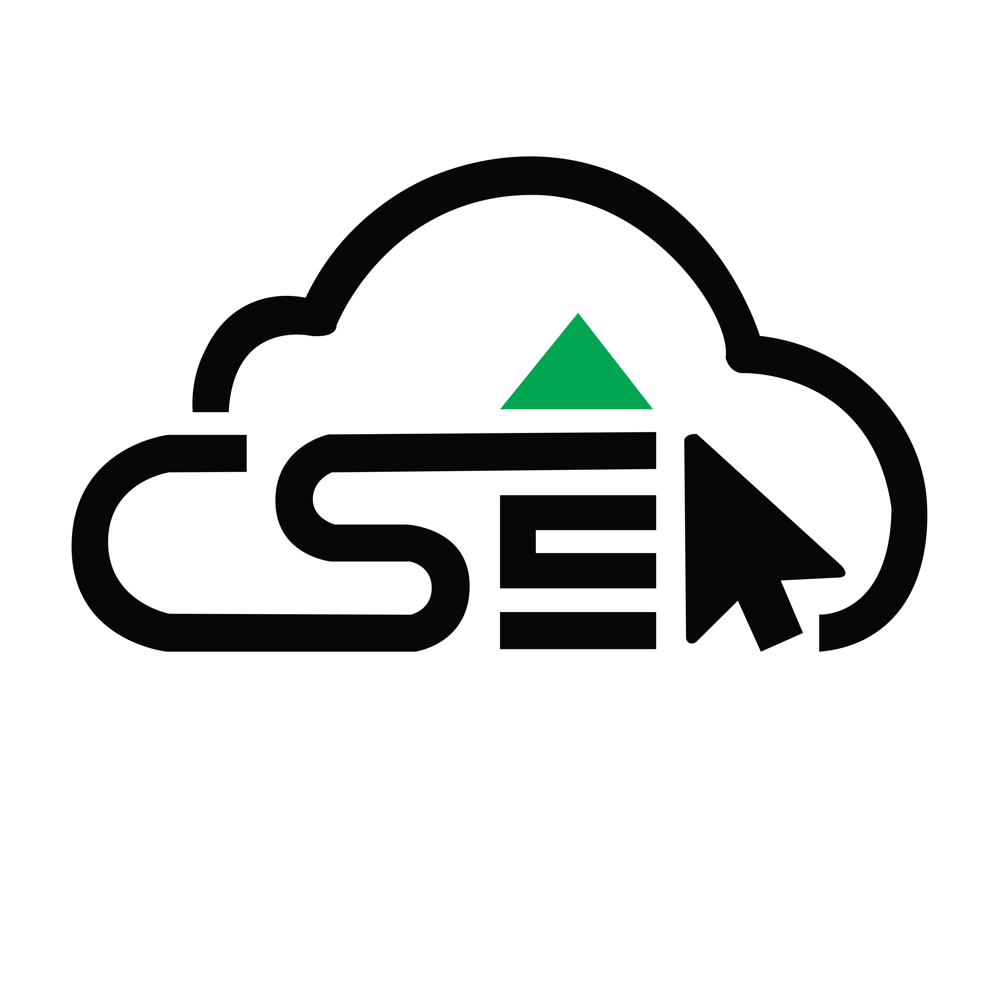 CSEA Placement Experiences